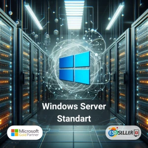 Windows Server Standard 2022 Lisans Satın Al